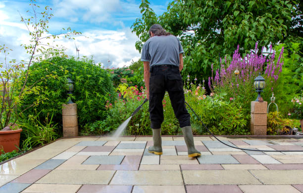 Best Driveway Pressure Washing  in Fulton, KY